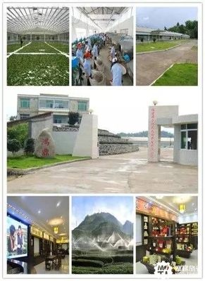 漳平:观光工厂开启“旅游+工业”新模式